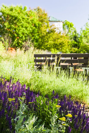 Early summer in urban vegetable garden.の写真素材