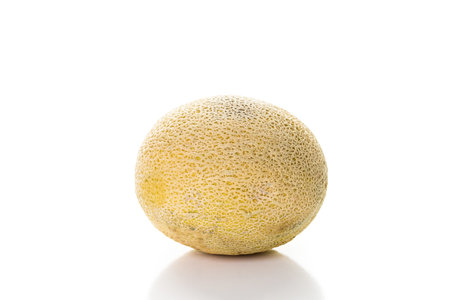 Whole organic cantaloupe on a white background.の写真素材