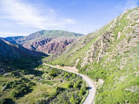 South Canyon Creek near Glenwood Springs, Colorado.の写真素材