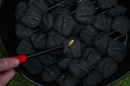 Summer picnic with small charcoal grill in the park.の写真素材