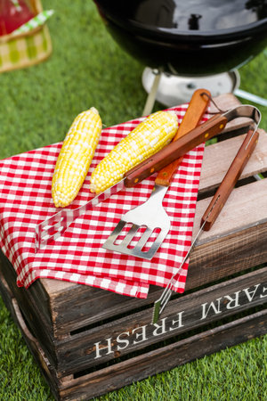 Summer picnic with small charcoal grill in the park.の写真素材