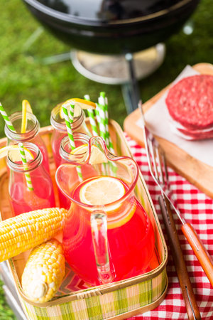 Summer picnic with small charcoal grill in the park.