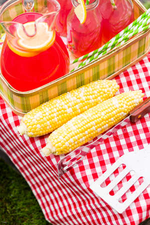 Summer picnic with small charcoal grill in the park.の写真素材