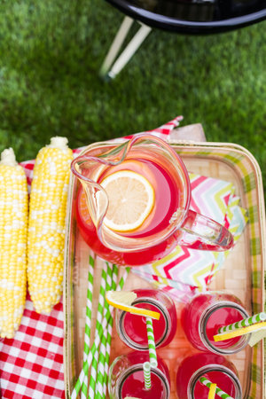 Summer picnic with small charcoal grill in the park.