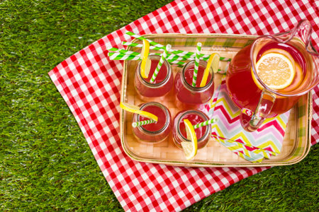 Summer picnic with small charcoal grill in the park.の写真素材