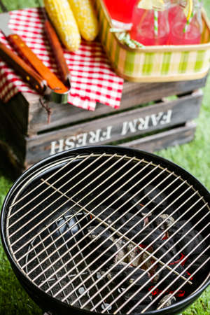 Summer picnic with small charcoal grill in the park.の写真素材