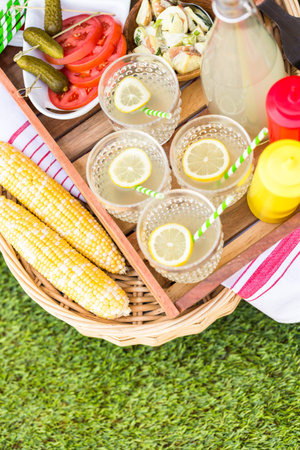 Small summer picnic with lemonade and hamburgers in the park.の写真素材