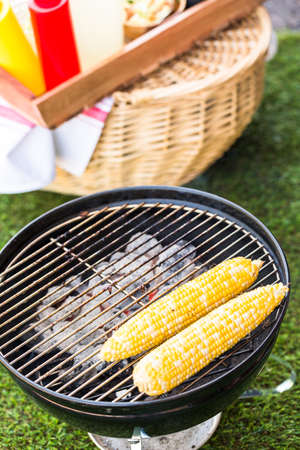 Small summer picnic with lemonade and hamburgers in the park.の写真素材