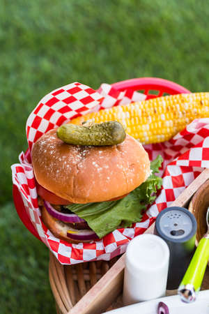 Small summer picnic with lemonade and hamburgers in the park.の写真素材