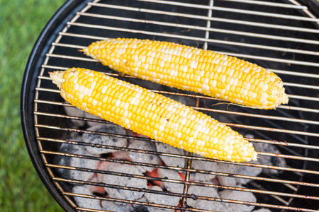 Small summer picnic with lemonade and hamburgers in the park.の写真素材