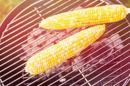 Small summer picnic with lemonade and hamburgers in the park.の写真素材