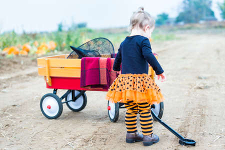 Toddler in Hallooween costume playing at the pumpkin patch.の写真素材