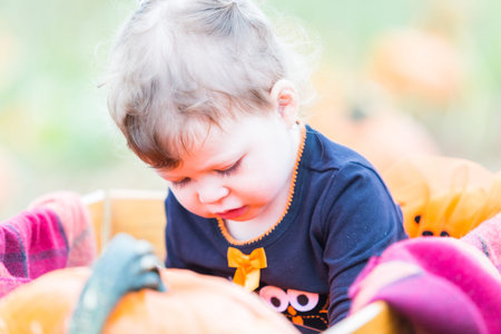 Toddler in Hallooween costume playing at the pumpkin patch.