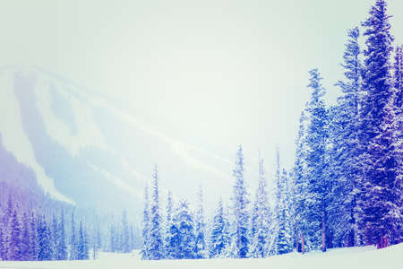 Ski resort at the end of the season after the snow storm in Colorado.の写真素材