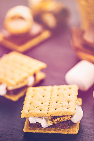 Freshly toasted smores with large white marshmallows.
