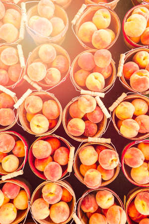 Fresh organic produce on sale at the local farmers market.の写真素材