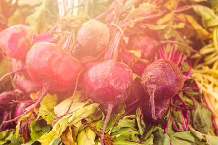 Local produce at the summer farmers market in the city.の写真素材