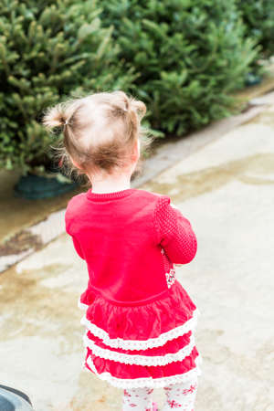 Cute toddler girl looking for Christmas tree.の写真素材