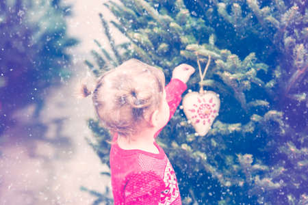 Cute toddler girl looking for Christmas tree.の写真素材
