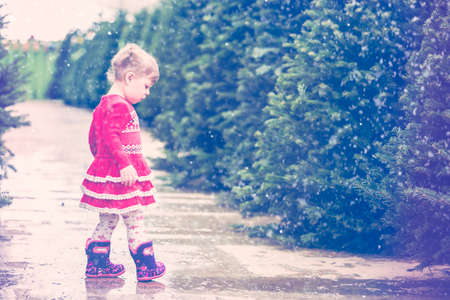 Cute toddler girl looking for Christmas tree.の写真素材