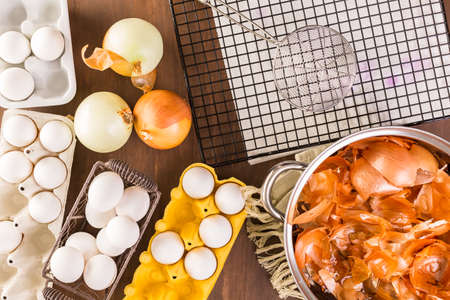 Dyeing Easter eggs with natural dye colors.の写真素材