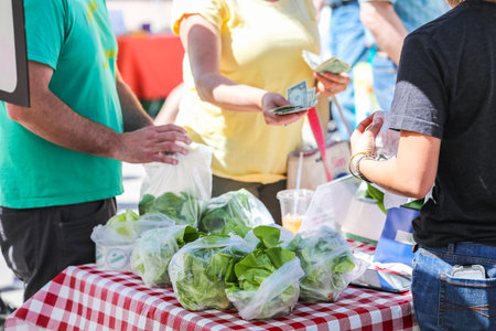 Weekend shopping on the Farmers Market in the Summer.の写真素材