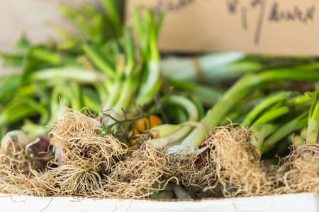 Weekend shopping on the Farmers Market in the Summer.の写真素材