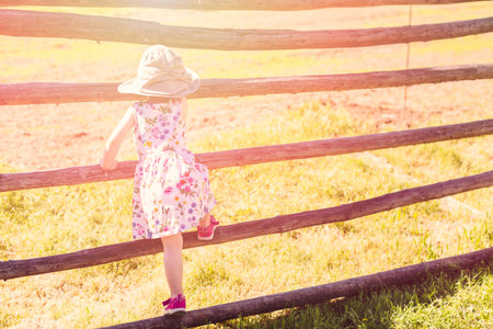 Toddler playing on the farm in the summer.