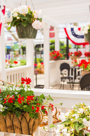 Abundance of colorful flowers at the garden center in Early Summer.の写真素材