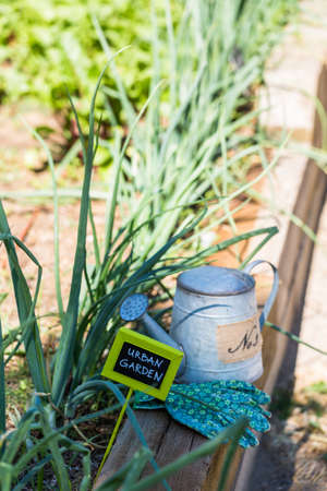 Small organic vegetable garden in urban agea.の写真素材