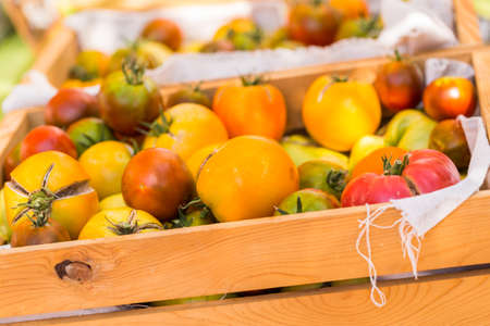 Fresh organic produce at the local farmers market.の写真素材