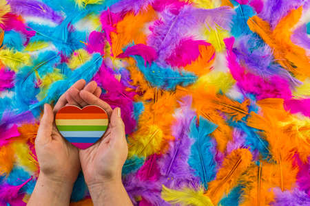 Rainbow Gay Pride feathers on a white background.の写真素材