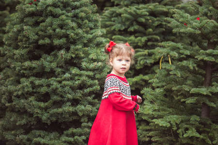 Little girl in red dress on the Christmas tree farm.の写真素材
