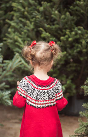 Little girl in red dress on the Christmas tree farm.の写真素材