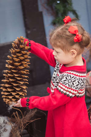 Little girl in red dress on the Christmas tree farm.の写真素材