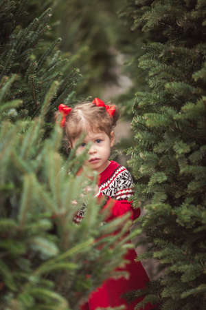 Little girl in red dress on the Christmas tree farm.の写真素材