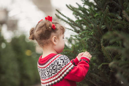Little girl in red dress on the Christmas tree farm.の写真素材