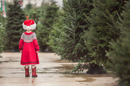 Little girl in red dress on the Christmas tree farm.の写真素材