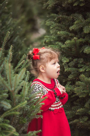 Little girl in red dress on the Christmas tree farm.の写真素材