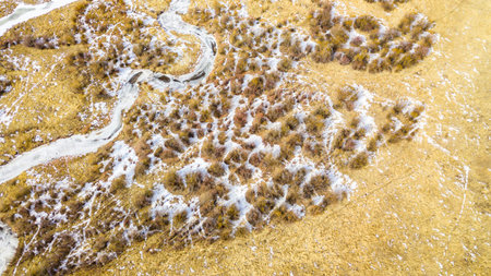 Aerial view of small mountain creek  in the Winter.の写真素材