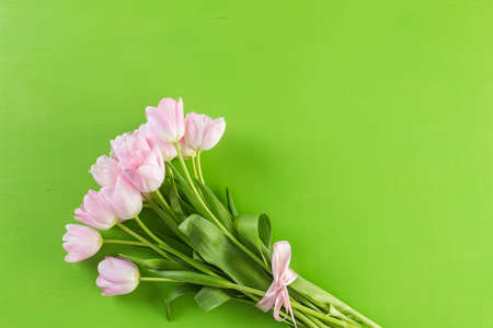 Bouquet of pink tulips on a green background.の写真素材