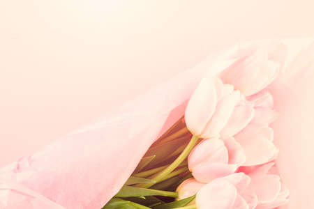 Bouquet of pink tulips wrappen in pink paper.の写真素材