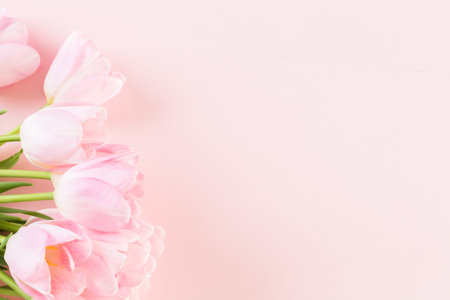 Bouquet of pink tulips wrappen in pink paper.の写真素材