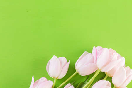 Bouquet of pink tulips on a green background.の写真素材