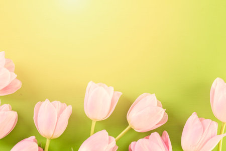 Bouquet of pink tulips on a green background.の写真素材