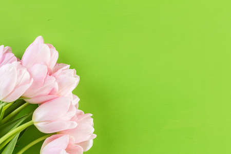 Bouquet of pink tulips on a green background.の写真素材