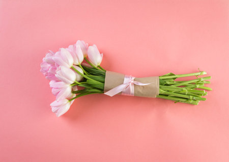 Bouquet of pink tulips on a pink background.の写真素材