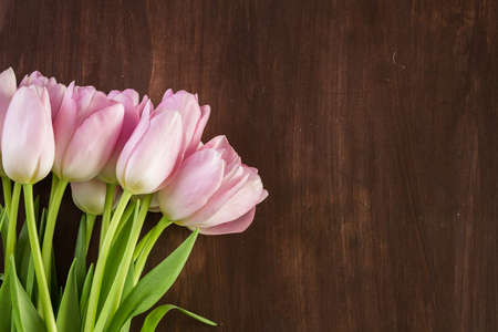 Bouquet of pink tulips on a wood background.の写真素材