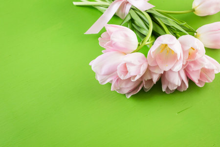 Light pink tulips on a green background.の写真素材