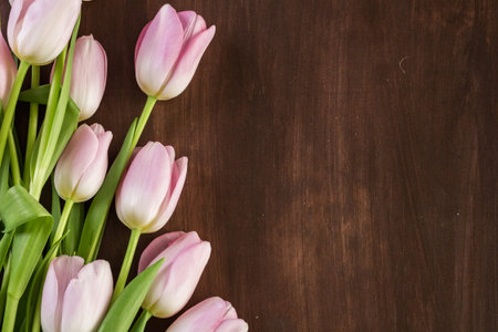 Bouquet of pink tulips on a wood background.の写真素材